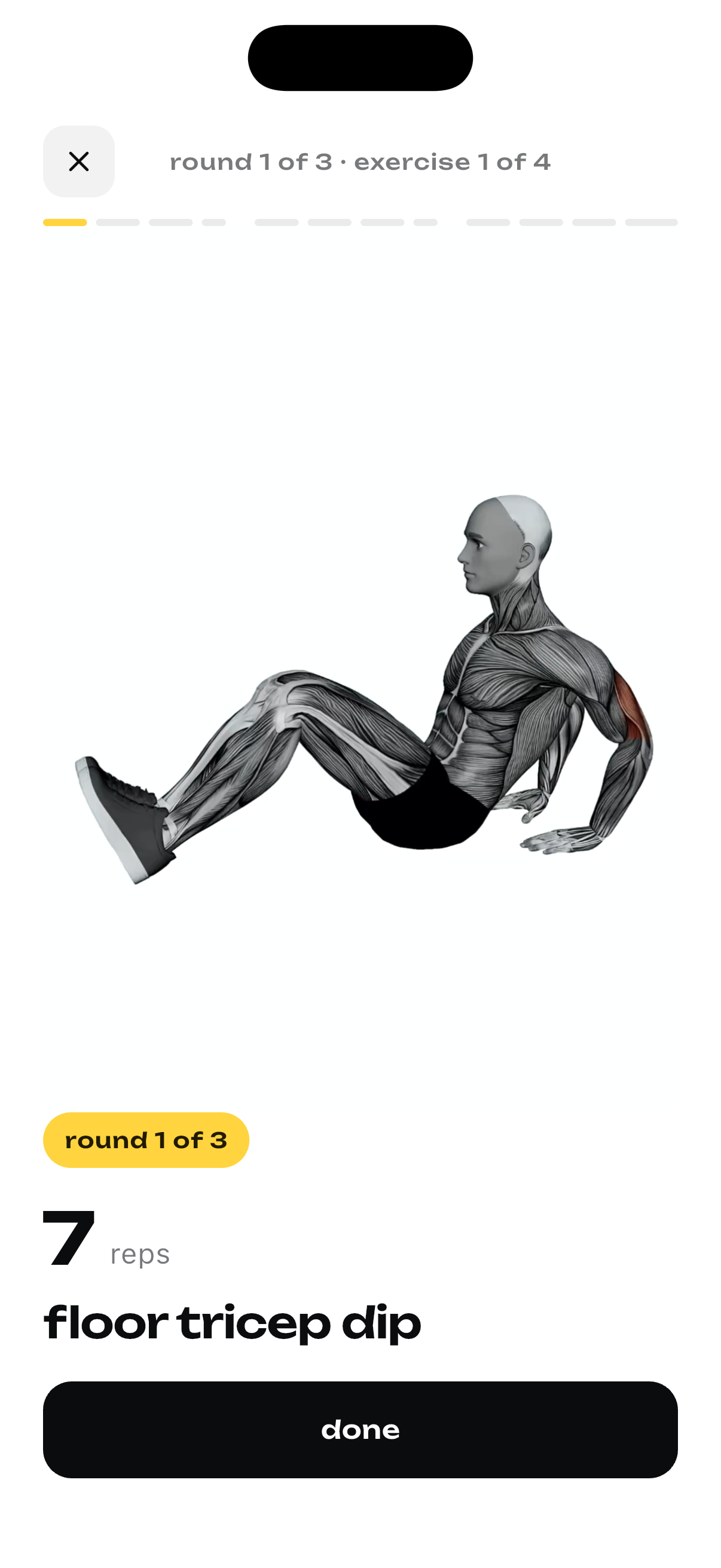 wandelbar workout screen guiding 7 reps of floor tricep dips