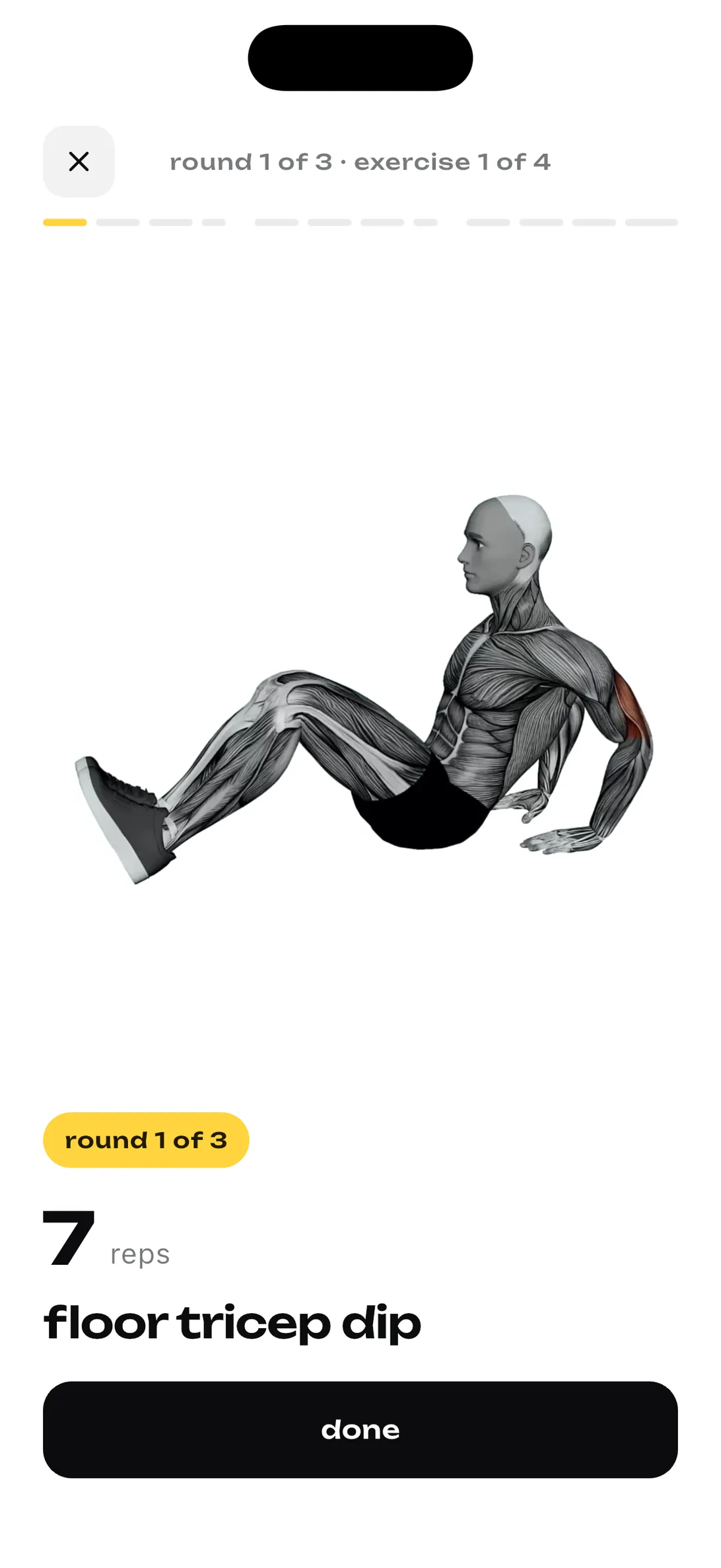 wandelbar workout screen guiding 7 reps of floor tricep dips