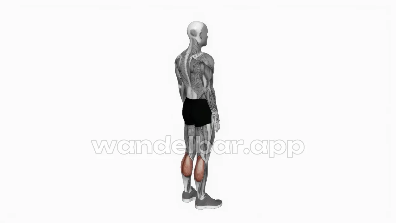 calf raises bodyweight calves exercise — proper form demonstration
