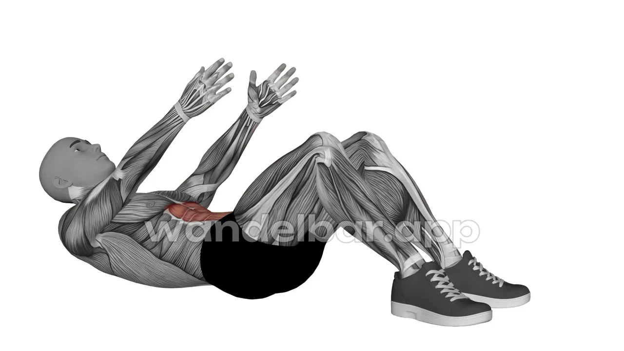 crunches bodyweight abs exercise — proper form demonstration