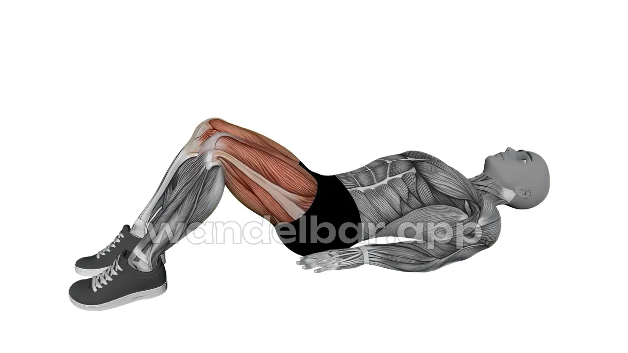 glute bridge bodyweight glutes exercise — proper form demonstration