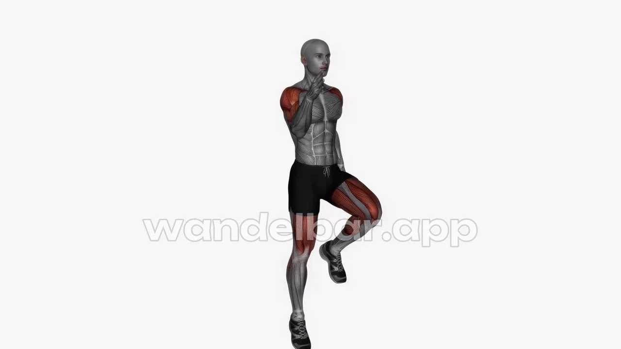 high knees bodyweight hip flexors exercise — proper form demonstration
