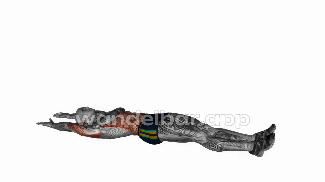 hollow hold: shoulders and straight legs lifted, lower back pressed flat
