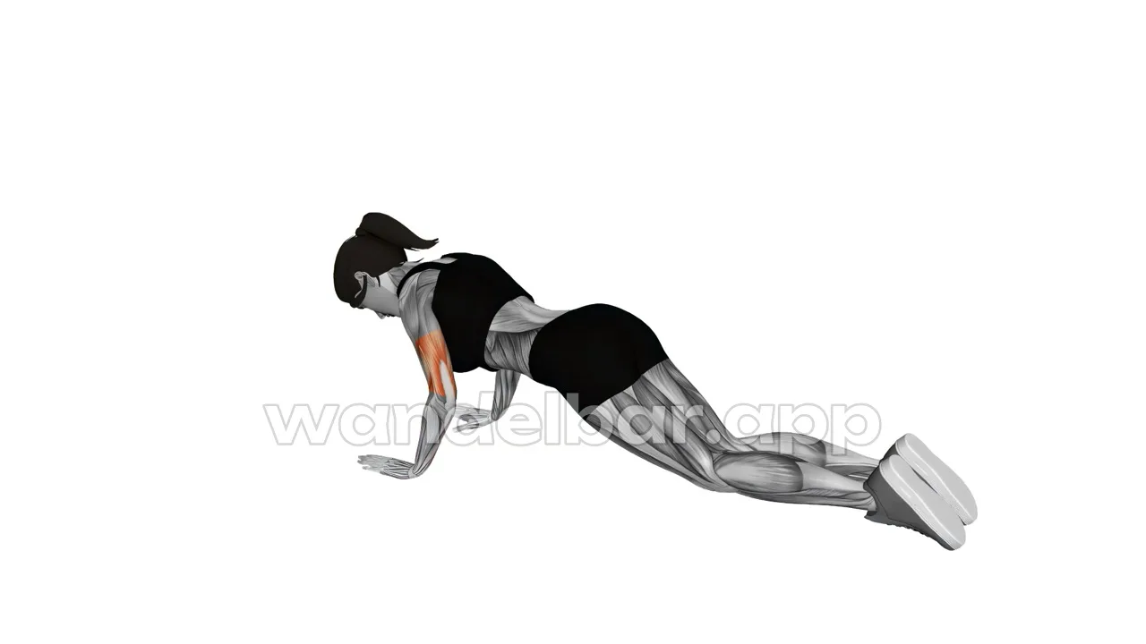 kneeling push-ups at the bottom: chest near floor, straight line from head to knees