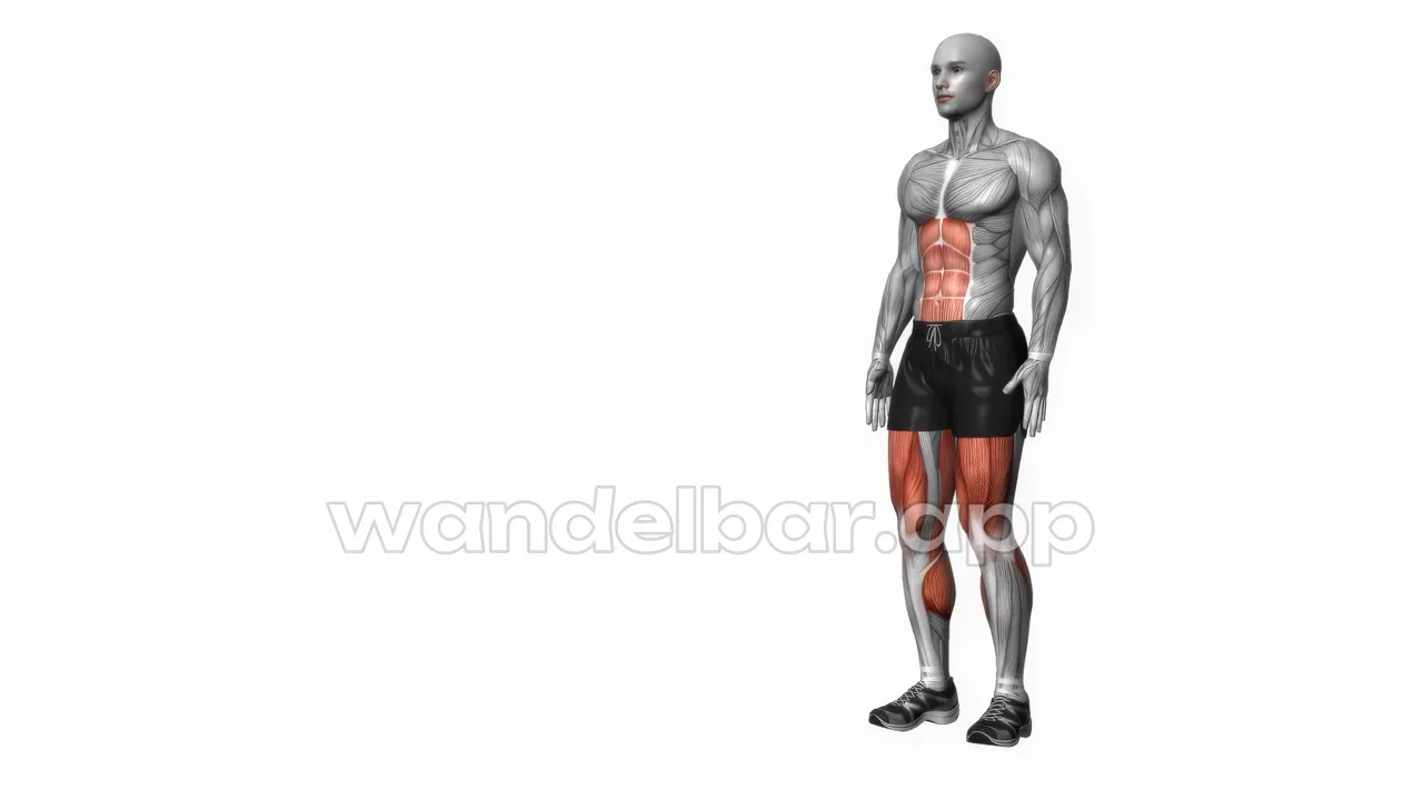 lunges bodyweight glutes exercise — proper form demonstration