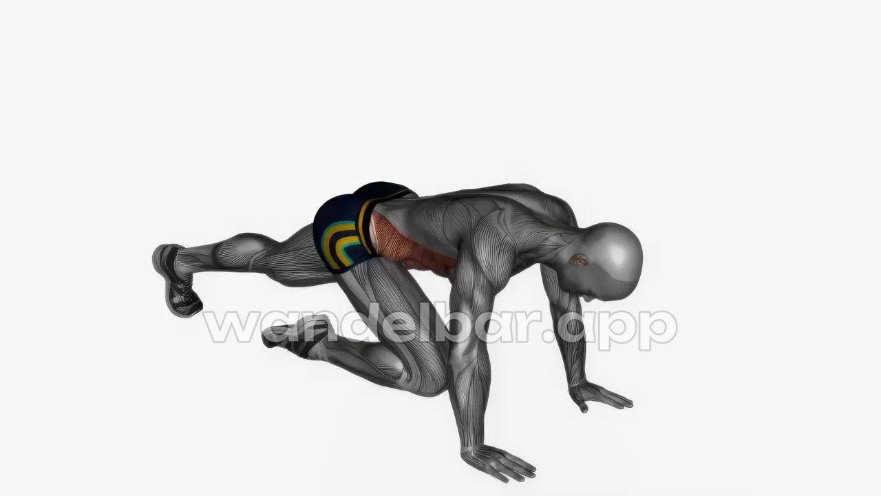 mountain climbers bodyweight abs exercise — proper form demonstration