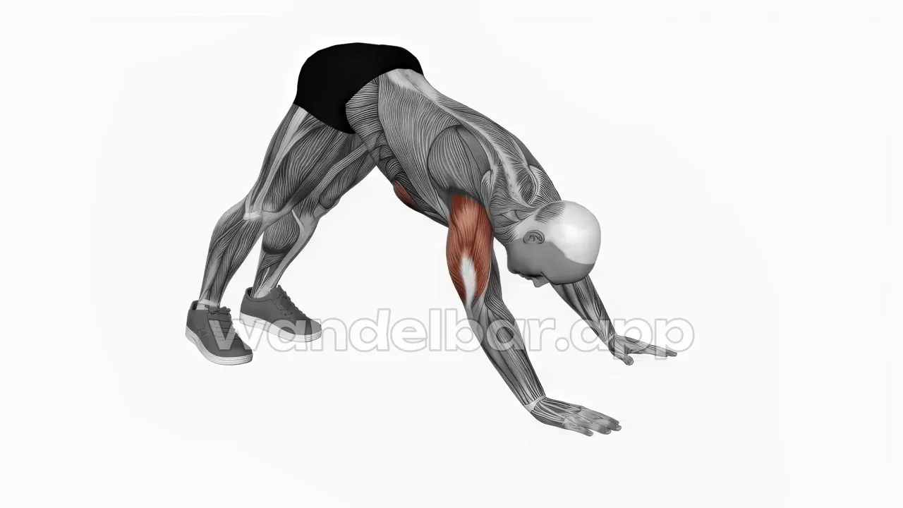 pike push-ups at the bottom: hips high, head just above the floor