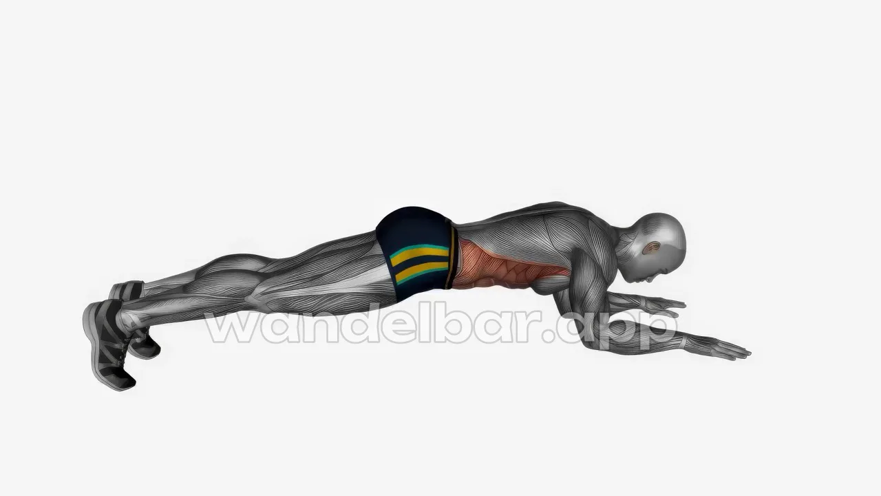plank bodyweight abs exercise — proper form demonstration