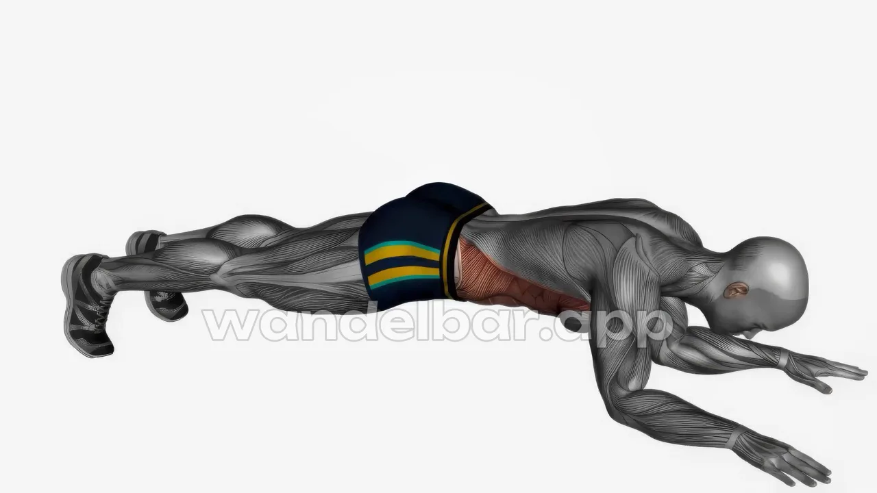 plank jacks: forearm plank with feet jumped wide apart