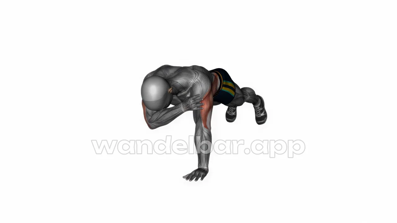 plank shoulder taps: high plank, one hand lifted touching opposite shoulder