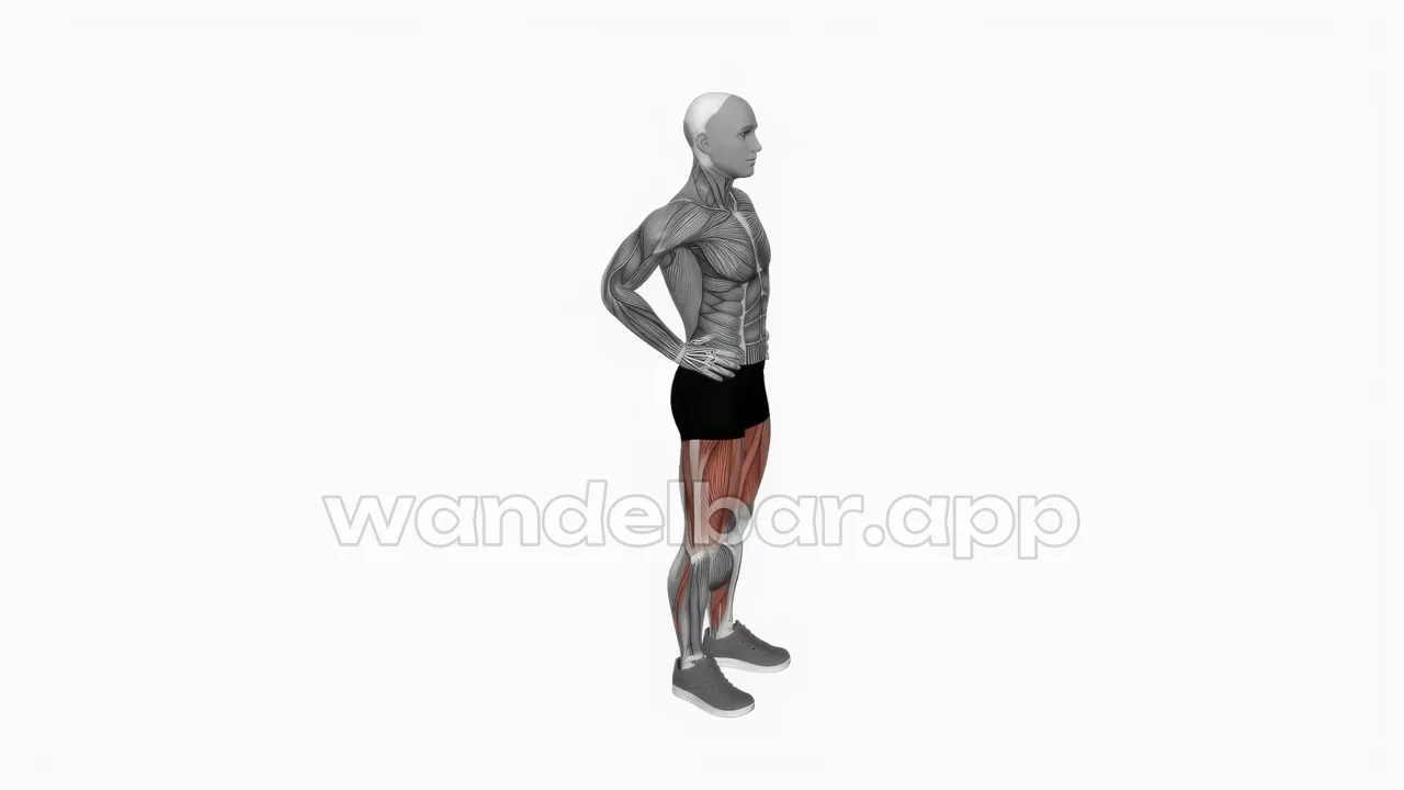 reverse lunges at the bottom: back knee just above the floor, torso upright
