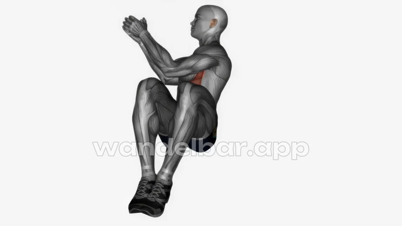 russian twists bodyweight obliques exercise — proper form demonstration