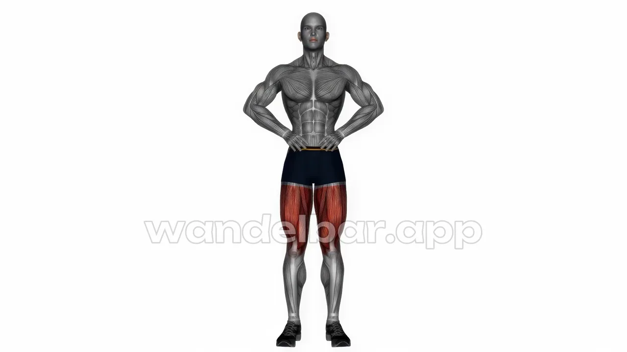 standing side leg raises: one leg lifted sideways, hands on hips, torso upright