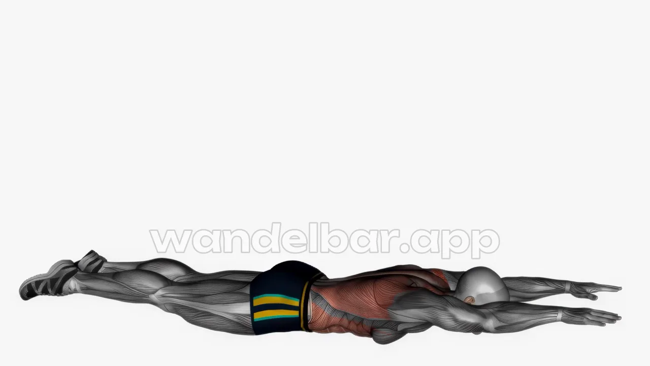 superman bodyweight glutes exercise — proper form demonstration