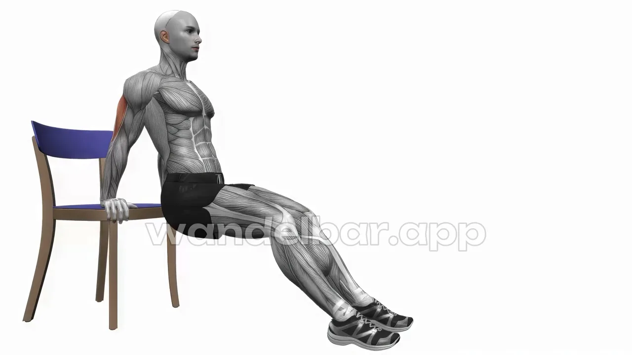 tricep dips bodyweight triceps exercise — proper form demonstration