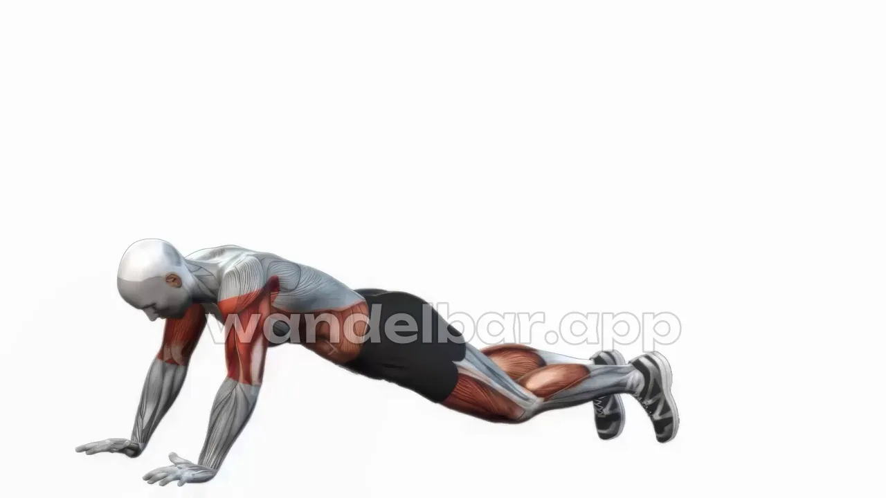 walkouts: hands walked forward into high plank, body in straight line