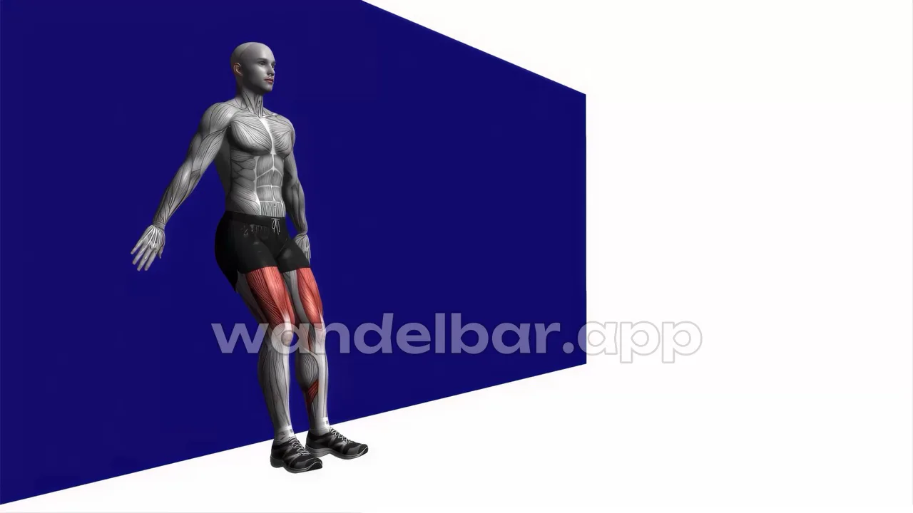 wall sit bodyweight glutes exercise — proper form demonstration